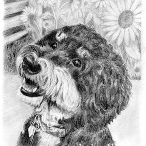 Custom Dog Pet Portrait Graphite Pencil 8x10