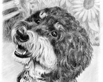 Custom Dog Pet Portrait Graphite Pencil 8x10