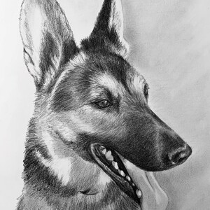 Custom Dog Pet Portrait Pencil 8x10