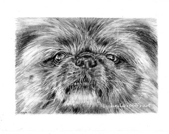 Custom Dog Pet Portrait Graphite Pencil