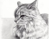 このショップの商品