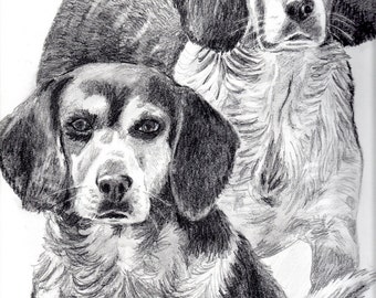 BEAGLE Original Color Pencil Drawing - Dog Art - Portrait Size