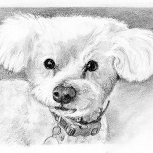 Personalized 5x7 Pet Sketch Gift for Dog Lovers, Custom Pencil Drawing