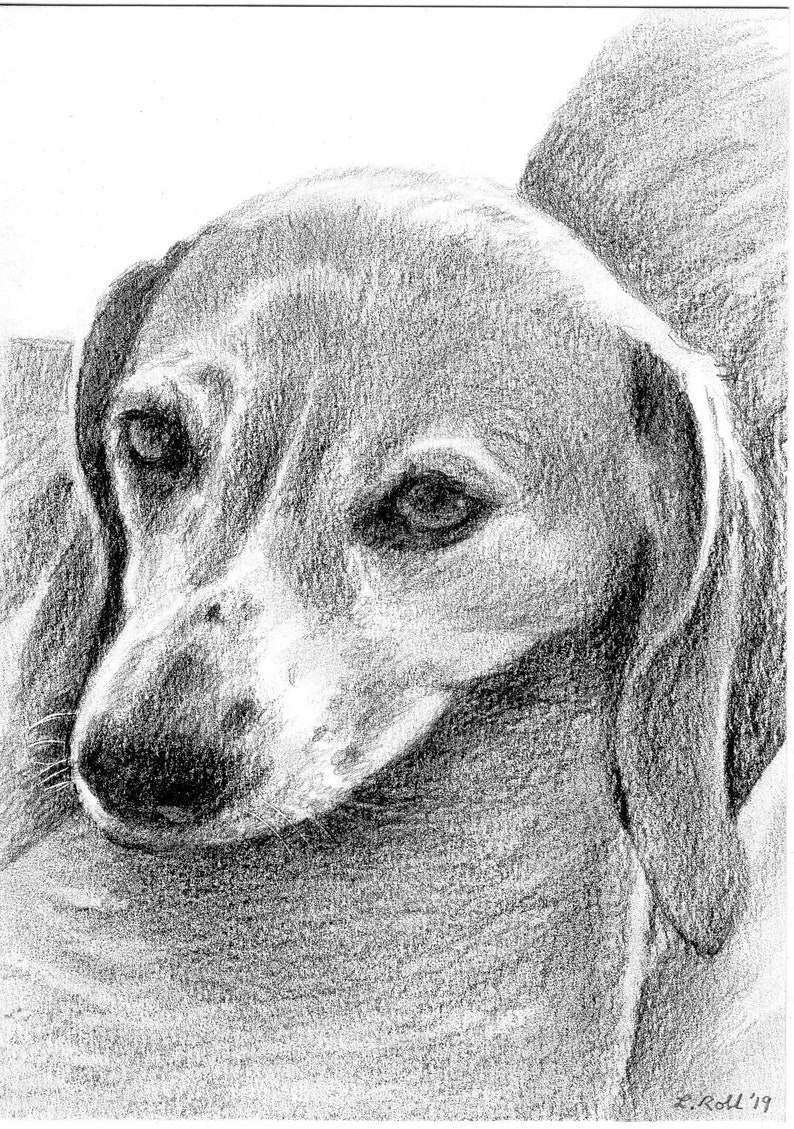 Custom 5x7 Pet Portrait in Graphite Pencil