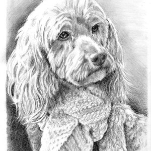 Custom graphite pencil pet portrait 8 x 10 image 2