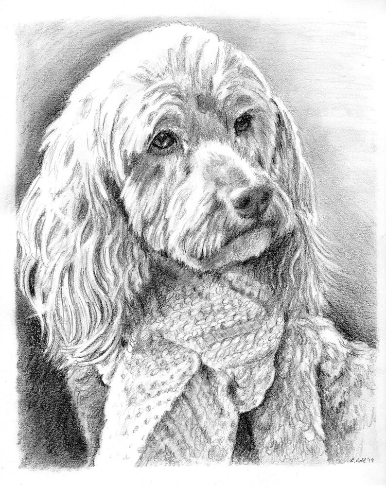 Custom graphite pencil pet portrait 8 x 10 image 2