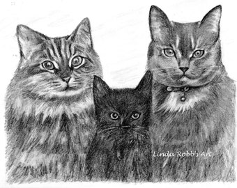 Custom Cat Pet Portrait Graphite Pencil 8x10 hand drawn