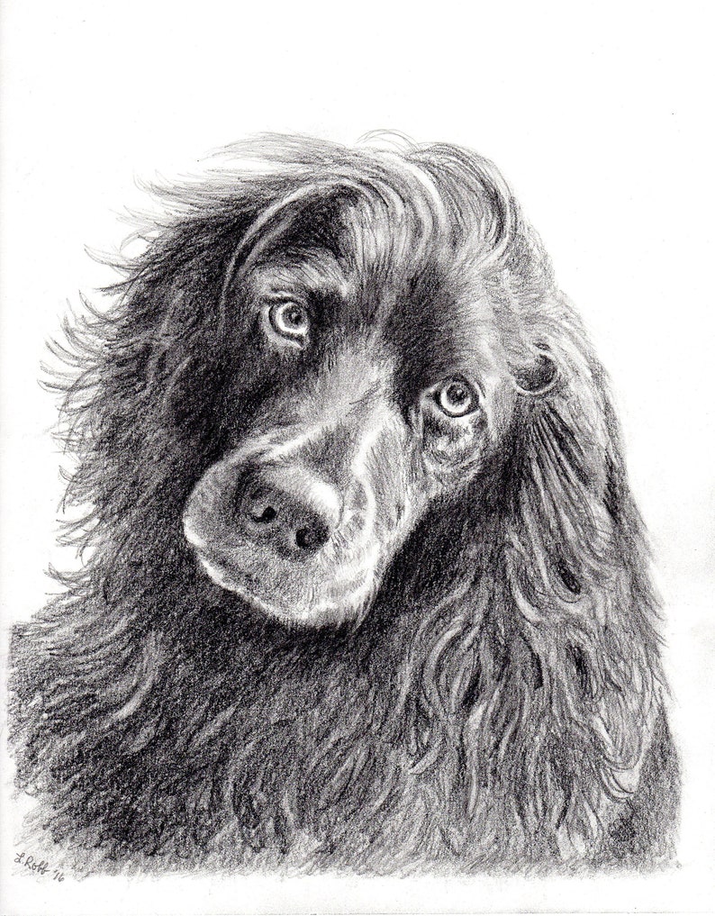 Custom graphite pencil pet portrait 8 x 10 image 5