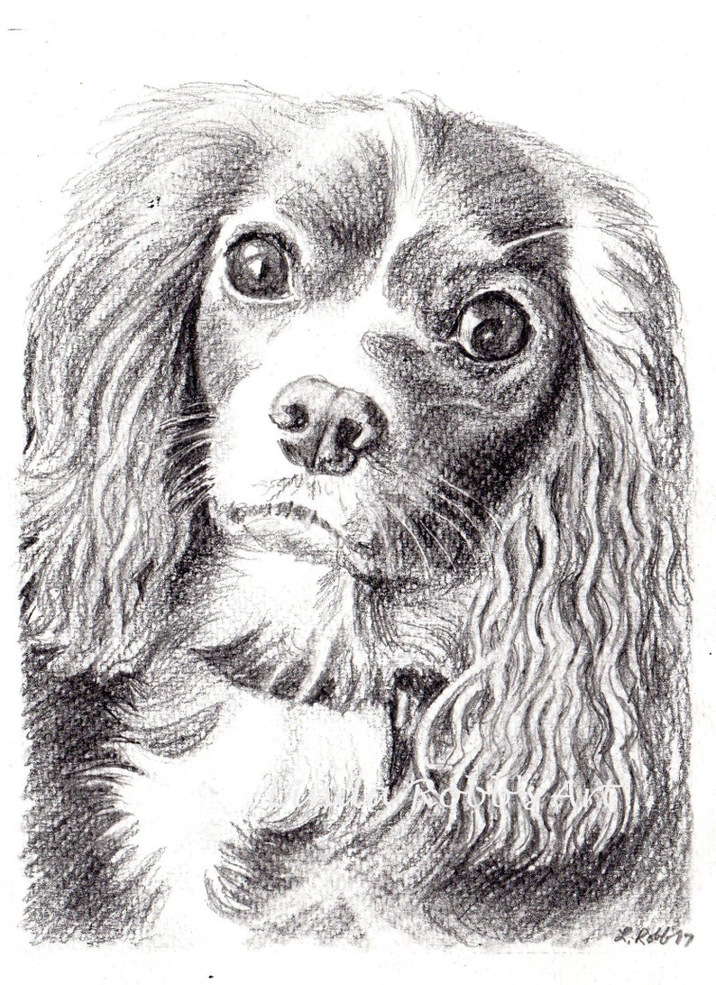 Custom 5x7 Pet Portrait in Graphite Pencil