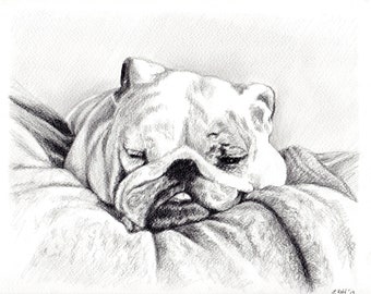 Custom Dog Pet Portrait Graphite Pencil 8x10