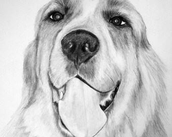Custom pet portrait in pencil 8x10 original