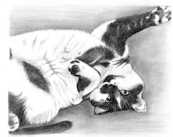 Custom kitty 8" x 10" graphite pencil pet portraits