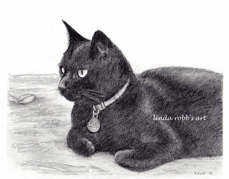 Custom kitty 8 x 10 graphite pencil pet portraits