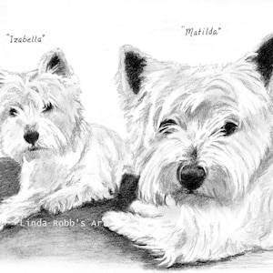 Custom graphite pencil pet portrait 8&quot; x 10&quot;