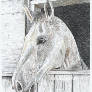 Custom drawing horse & rider colored pencil portrait