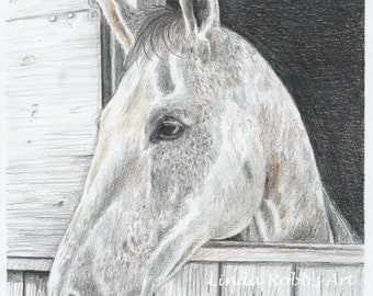 Custom drawing horse & rider colored pencil portrait