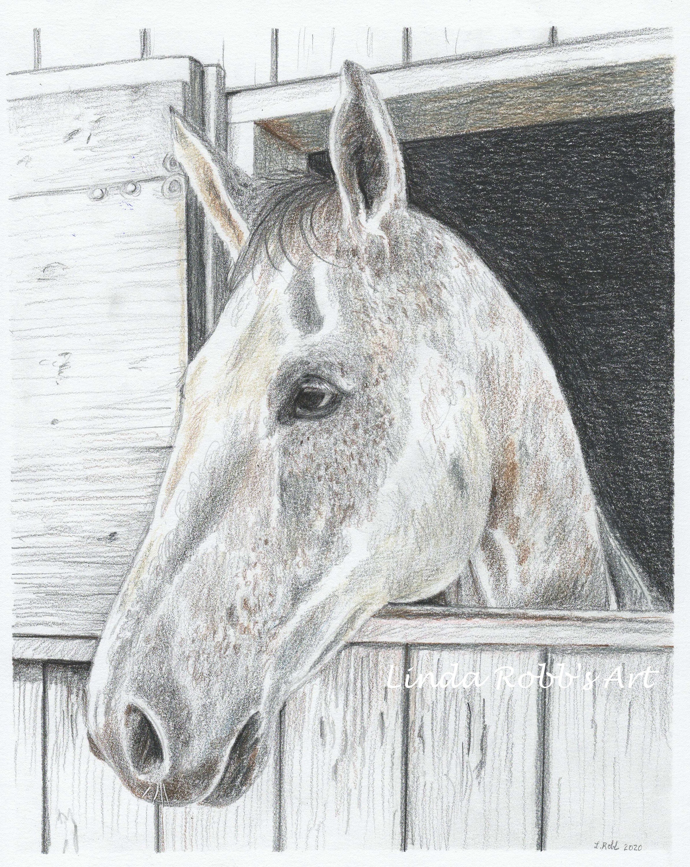 Custom drawing horse & rider colored pencil portrait