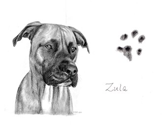 Custom Dog Pet Portrait Graphite Pencil with paw & name 11x14