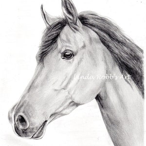 Custom drawing horse & rider graphite or colored pencil portrait
