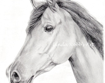 Custom drawing horse & rider graphite or colored pencil portrait