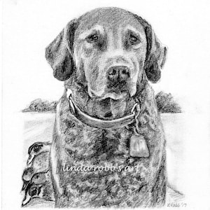 Custom 5x7 Pencil Drawings of Pets in Graphite - Personalized Animal Art Gifts