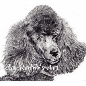 Custom graphite pencil pet portrait 8 x 10 image 7