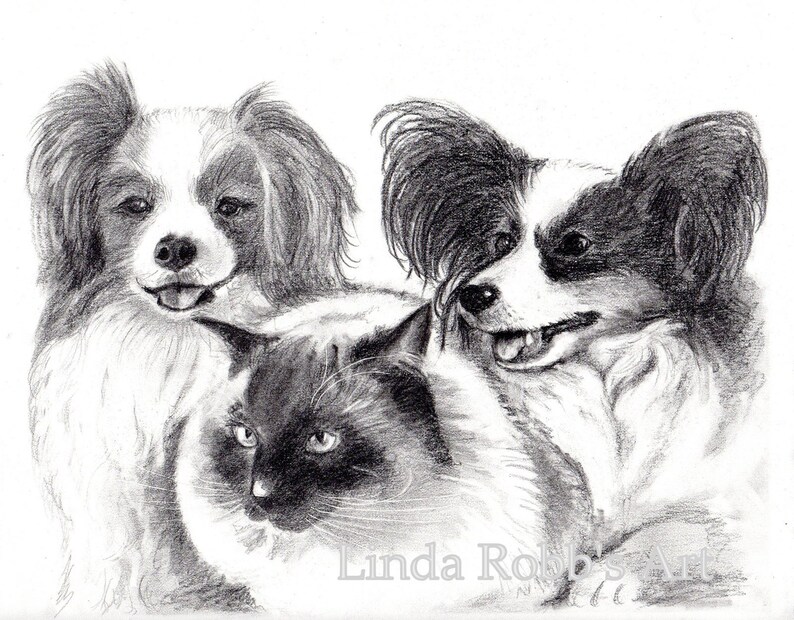 Custom kitty 8 x 10 graphite pencil pet portraits