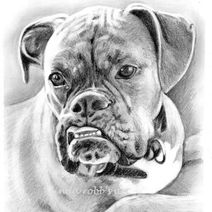 Custom Dog Pet Portrait Pencil 8x10