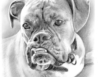 Custom Dog Pet Portrait Pencil 8x10