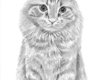 Custom graphite pencil pet portraits - two 5x7