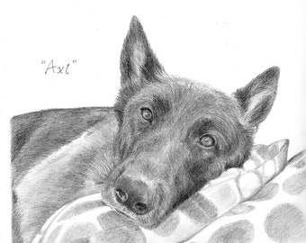 Custom Dog Pet Portrait Pencil 8x10