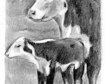 Cow and Calf 5x7 Graphite Pencil portrait
