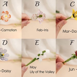 May include: Six glass flower sculptures are displayed, each held by a hand. The flowers include a carnation, iris, daffodil, daisy, lily of the valley, and rose. Each flower has a green stem and is labelled with its name and month.