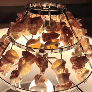 Seashell Lamp Shade, Coastal Shell Lantern, Ocean Inspired Lighting, Handmade Beach House Decor, One of a Kind Shell Light