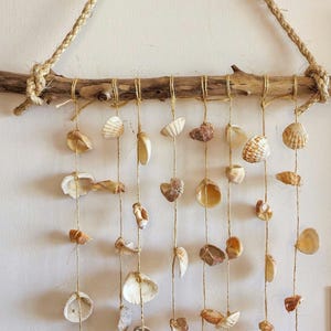 Puede incluir: Un colgante de pared decorativo con una rama de madera natural y cuerda, adornado con varias conchas marinas suspendidas por hilo. Las conchas varían en tamaño, forma y color, creando una estética costera. La cuerda está anudada en la parte superior.