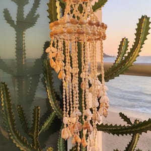 Puede incluir: Móvil de conchas marinas hecho a mano con un diseño en capas, suspendido frente a un cactus. El móvil presenta conchas marinas de varios tamaños y formas, ensartadas con un cordón de color natural. El fondo muestra una escena de playa.