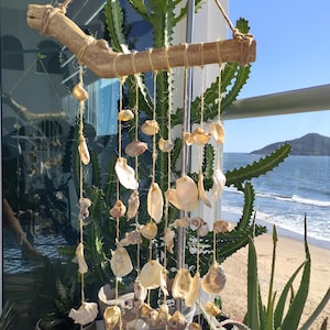 Puede incluir: Un móvil de viento artesanal con conchas marinas. El móvil presenta una rama de madera natural suspendida con cuerda, con varias conchas marinas colgando de ella. Las conchas son en tonos de blanco, crema y beige. El fondo incluye una playa y el océano.