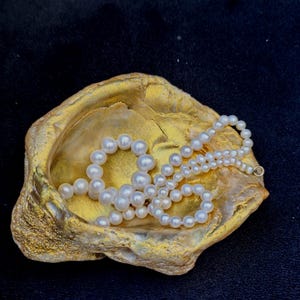 Puede incluir: Un collar de perlas blancas descansa dentro de una concha de ostra pintada de oro. Las perlas están ensartadas, creando una pieza de joyería delicada y elegante. La superficie texturizada de la concha contrasta con las perlas lisas, sobre un fondo oscuro.