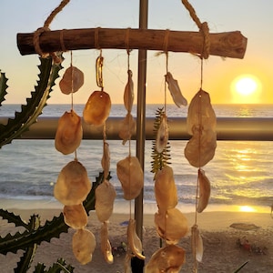 Puede incluir: Un móvil de conchas marinas hecho a mano. El móvil presenta conchas marinas de varios tamaños y formas suspendidas de una viga de madera con hilo natural. El fondo muestra una playa y el sol poniente.
