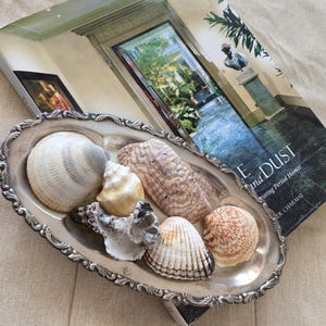 May include: An oval, silver-toned tray with ornate edges holds an assortment of seashells. A book titled "E and Dust" is partially visible in the background. The shells vary in size, color, and texture, creating a coastal theme.