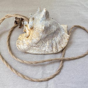 Puede incluir: Una caracola grande de color blanco roto y bronceado con una superficie natural y desgastada con protuberancias puntiagudas. Una cuerda de yute gruesa y trenzada de color bronceado pasa por un orificio en la parte superior, formando un bucle.