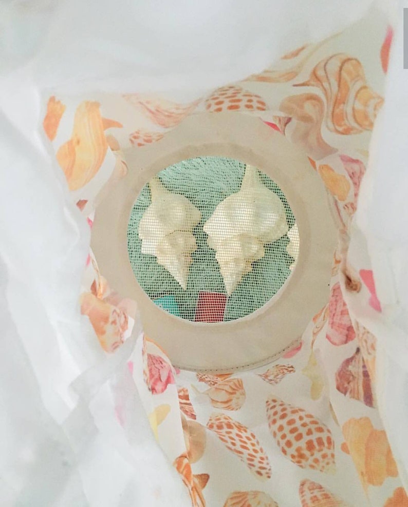 Seashell Shelling Bag Beach Bag Shells of Southwest Florida Etsy