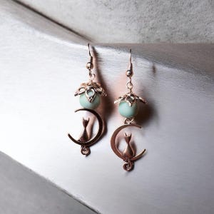 Blue Flower Moon & Cat Earrings