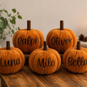 May include: Five orange velvet pumpkins with brown stems, each featuring a unique name printed in black script lettering. The names displayed on the pumpkins are Ralph, Oliver, Luna, Milo, and Bella. These decorative items have a soft texture.