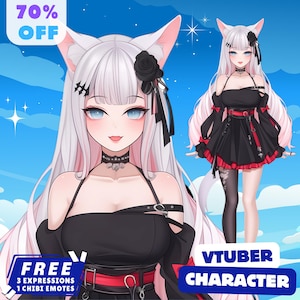 Aangepast Live2D Vtuber-model | Volledig gemonteerd voor Vtube Studio | Mannelijk en vrouwelijk | Klaar voor bridger | Commercieel gebruik | Anime-stijl