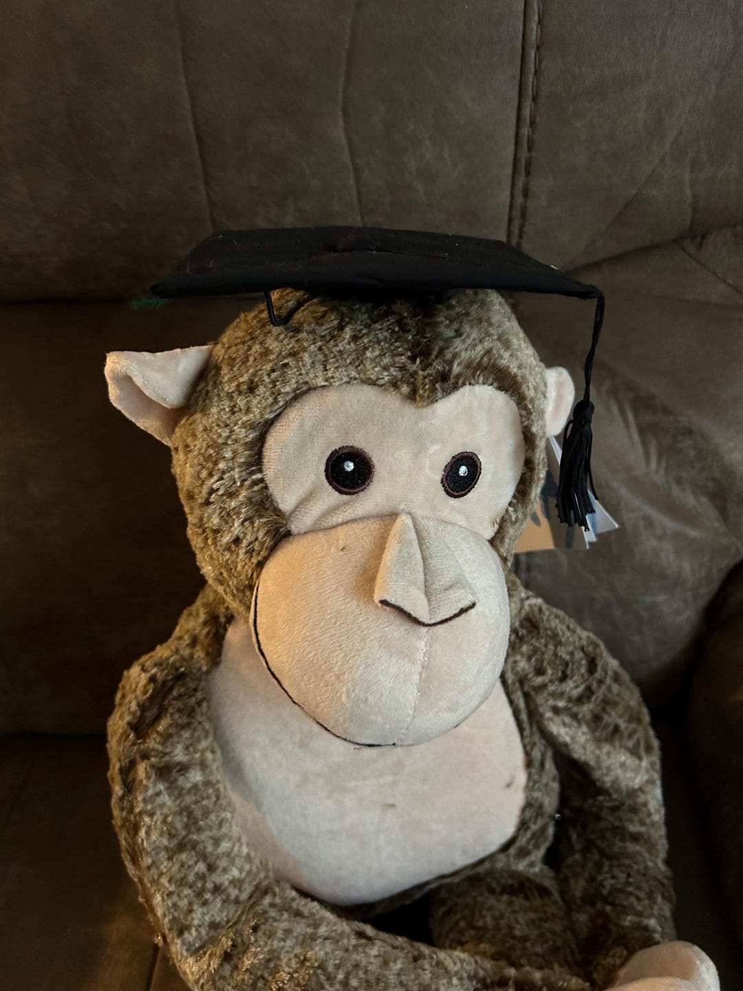 Graduation Monkey - Etsy