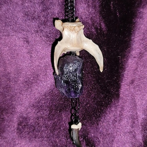 Vertebrae Amethyst Claw Necklace