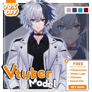 Live2D Vtuber Custom Character, Custom Vtuber Model, Vtuber Commission, Vtuber Design, Vtuber, Live2D Model, Rigging, Custom Vtuber