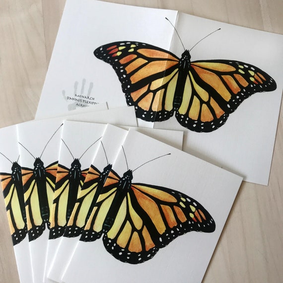 Greeting Cards 6 Monarch Butterfly blank cards Paper etna.com.pe