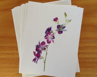 6 blank cards - Dendrobium orchids